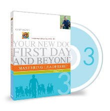 GFK_product_dvd3