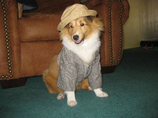 Rookie2