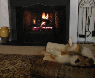 Maxfire