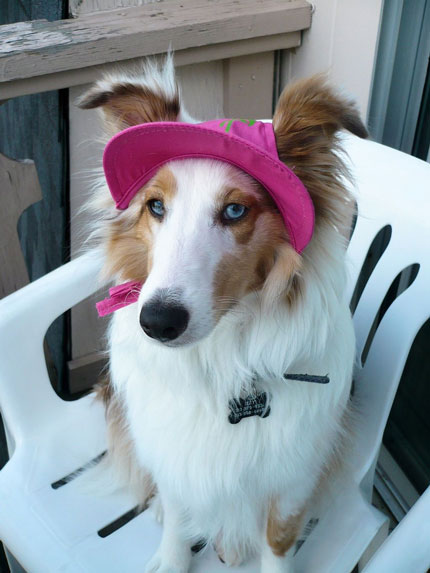 Izzy