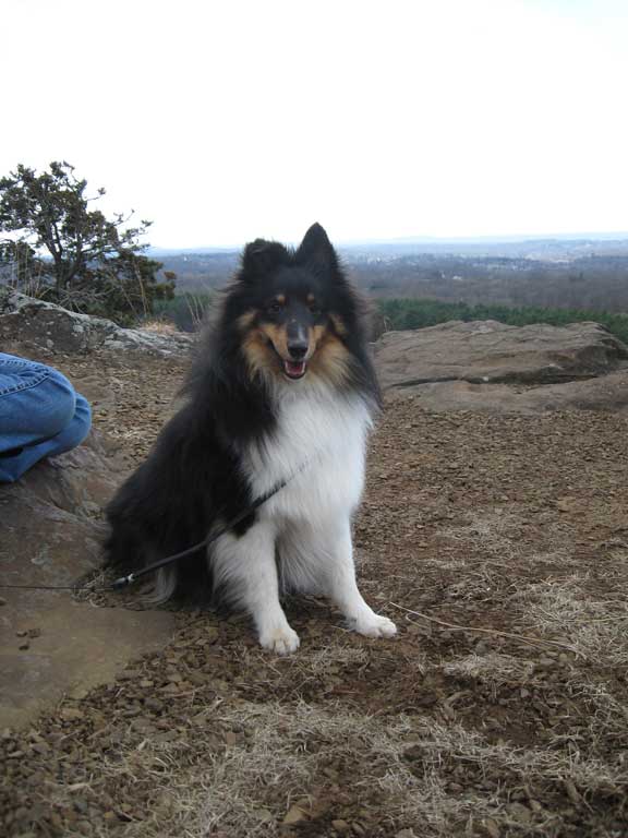 Duncanhike