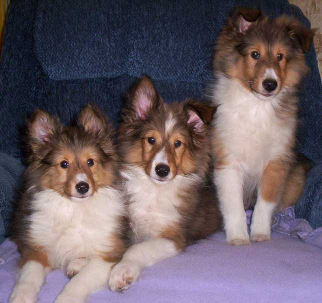 Three