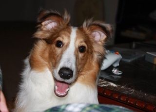 Holden