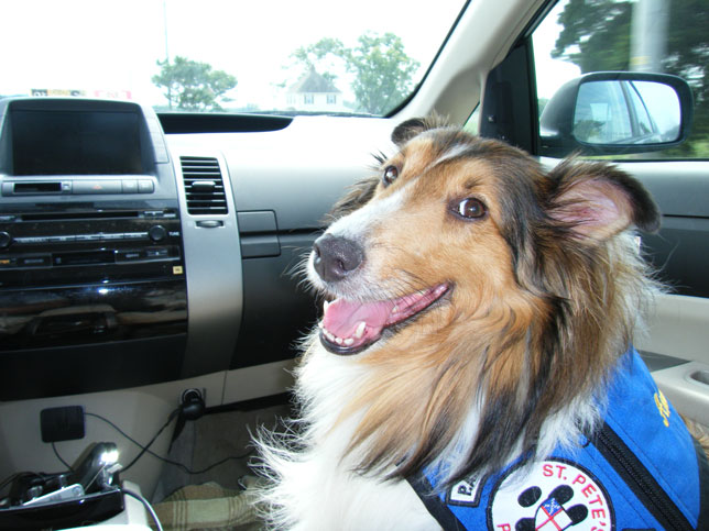 Roadtrip