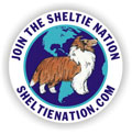 image from www.sheltienation.com