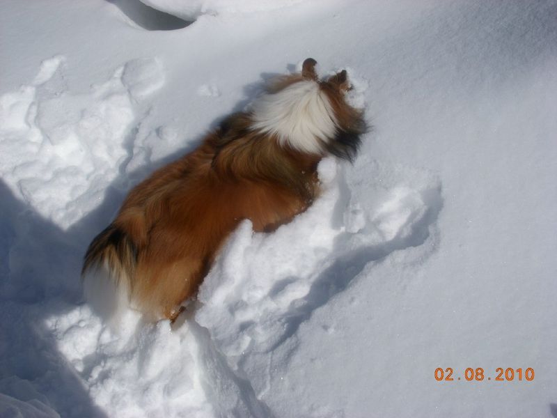 Snowangel