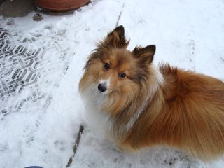 Fiona