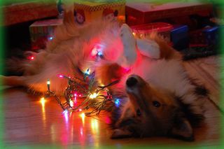 Bennxmas