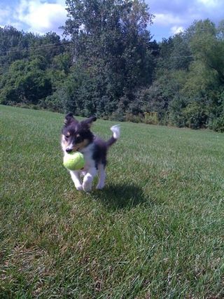 Huxley