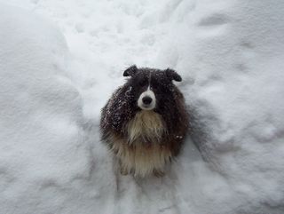 Bosleysnow
