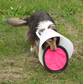 Pennytoy