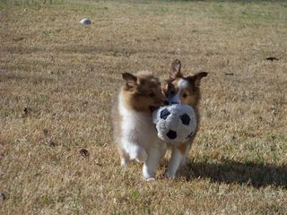 Soccer