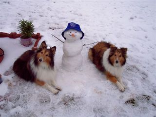 Snowbuddies